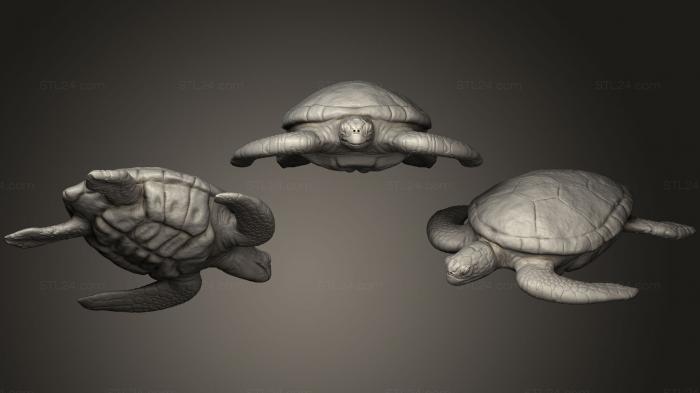 Animal figurines (Green Turtle, STKJ_1039) 3D models for cnc
